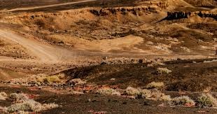 2019 赛季：圣地亚哥教士队与曼尼·马查多签下 10 年 3 亿美元巨额合同